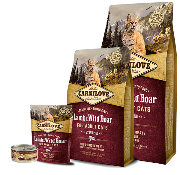 Carnilove Cat Lamb & Wild Boar Сухий корм з ягням і диким кабаном для стерилізованих кішок і кастрованих котів 400г А03962 фото