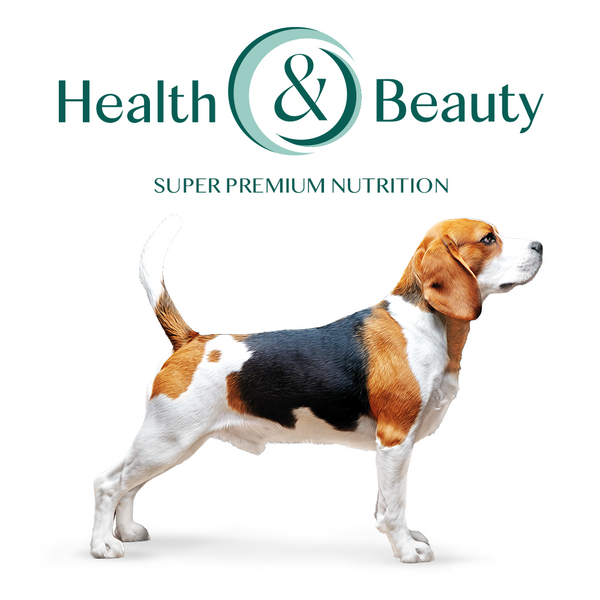 OPTIMEAL ™. Повнораціонний сухий корм для дорослих собак середніх порід - індичка 1,5кг А01221 фото