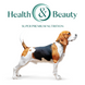 OPTIMEAL ™. Повнораціонний сухий корм для дорослих собак середніх порід - індичка 1,5кг А01221 фото 9