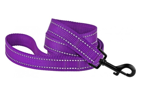 Повідець Для Собак Bronzedog Active нейлоновий з світловідображення S Фіолетовий А09467 фото