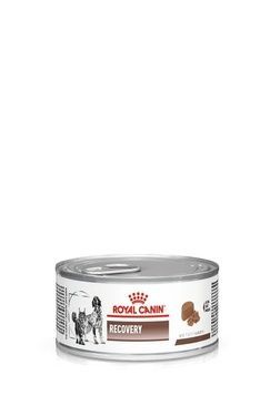 Royal Canin (Роял Канін) RECOVERY вологий раціон для собак і кішок в період відновлення після хвороби, операції