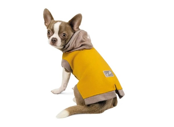 Толстовка для собак Pet Fashion 'Капсула' S2 а07454 фото