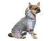 Костюм зимовий для собак Pet Fashion 'Fun' M а13107 фото 1