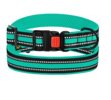 Нашийник для Собак BronzeDog Mesh Ментоловий 30-40cm А12054 фото
