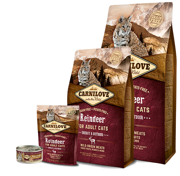 Carnilove Reindeer Cat Energy & Outdoor Сухий корм для з олениною для активних котів 2 кг А03958 фото