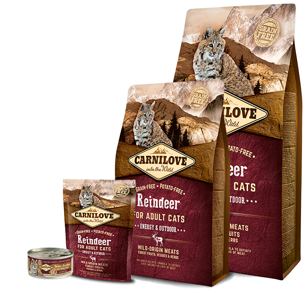 Carnilove Reindeer Cat Energy & Outdoor Сухий корм для з олениною для активних котів 2 кг А03958 фото