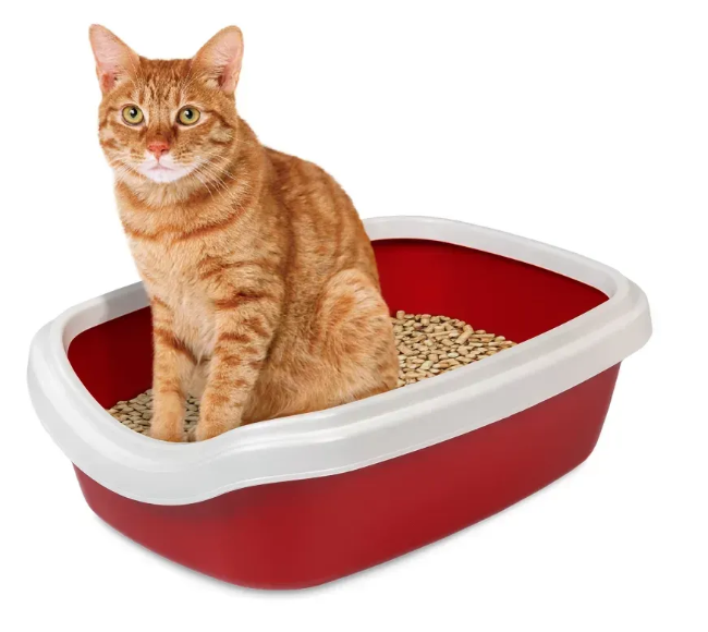 Туалет для котів Природа з бортиком Comfort L 49*39*15 см А21556 фото