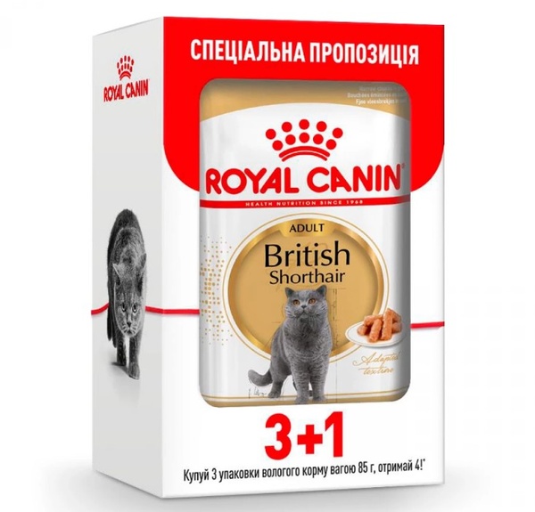 Акційний блок 3+1 Royal Canin BRITISH SHORTHAIR вологий корм для котів британців по 85г