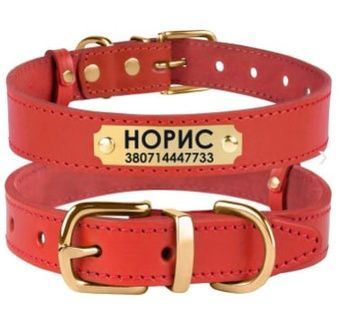 Нашийник для Собак Шкіряний BronzeDog Classic з Литий латунний фурнітура Червоний